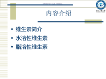 维生素辅酶医学宣教课件