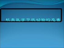 蚊类医学节肢动物的危害教学课件