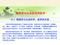 物理学与生命科学和医学课件
