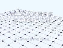 五高血压的基因研究与基因治疗进展课件