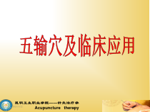 五输穴与临床应用课件