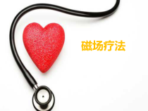 物理因子治疗技术-磁疗法课件