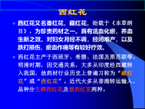 西红花主题医学知识课件