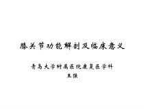 膝关节功能解剖及临床意义课件