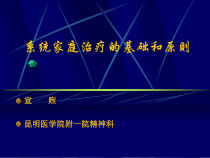 系统家庭治疗的基础和原则课件