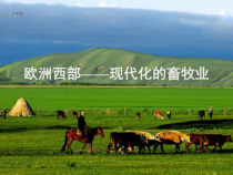 《第二节 欧洲西部》PPT课件1-鲁教版（五四制）地理六年级下册