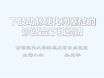 下肢动脉硬化闭塞症的诊断治疗及预防-课件