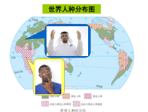 《第三节 撒哈拉以南的非洲》PPT课件2-鲁教版（五四制）地理六年级下册