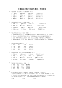 2023年中考语文三轮冲刺复习练习：字音字形 (含详解)