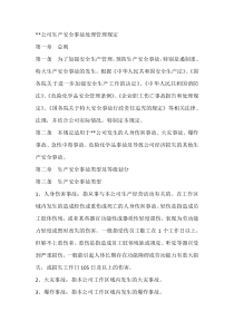 公司生产安全事故处理管理规定