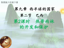 《第二节 巴西》PPT课件4-鲁教版（五四制）地理六年级下册
