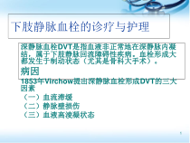 下肢静脉血栓医学课件