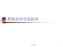 下肢静脉血栓形成机制医学技术课件