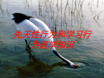 先天性行为和学习行为医学知识培训课件