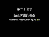 现代基础医学概论第二十七章课件