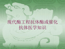 现代酶工程抗体酶或催化抗体医学知识培训课件