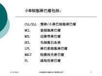 小B细胞淋巴瘤的诊疗鉴别和治疗培训课件
