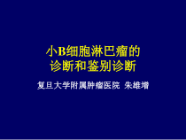 小B细胞淋巴瘤的诊断及鉴别诊断医学课件
