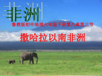 《第三节 撒哈拉以南的非洲》PPT课件4-鲁教版（五四制）地理六年级下册