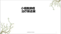 小细胞肺癌治疗新进展课件