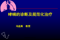 哮喘的诊断及规范化治疗课件