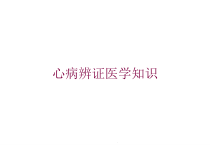 心病辨证医学知识培训课件