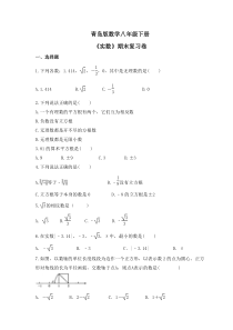 青岛版数学八年级下册《实数》期末复习卷（含答案） 