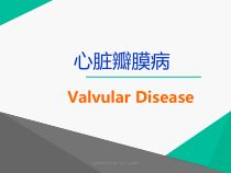 心脏瓣膜病的诊断与治疗-课件
