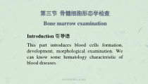 新乡医学院诊断学止血与凝血课件