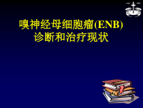 嗅神经母细胞瘤医学课件