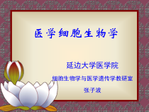 绪论医学细胞生物学教学课件