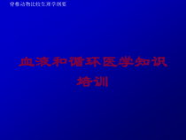 血液和循环医学知识培训培训课件