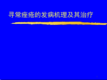 寻常痤疮的发病机理及其治疗教学课件