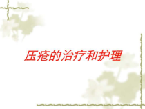 压疮的治疗和护理培训课件