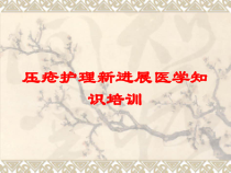 压疮护理新进展医学知识培训培训课件