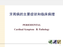 牙周病的主要症状和临床病理医学课件