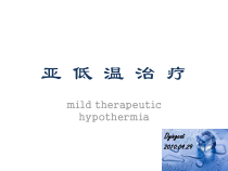 亚低温治疗策略剖析课件