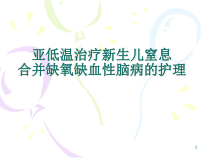 亚低温治疗新生儿窒息及护理课件