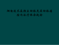 烟囱技术在胸主动脉夹层动脉瘤腔内治疗体会赵渝课件