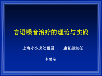 言语嗓音治疗理论与实践总论课件
