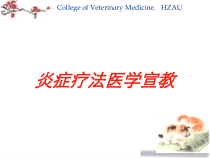 炎症疗法医学宣教培训课件