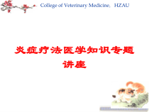 炎症疗法医学知识专题讲座培训课件
