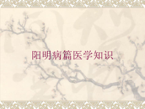 阳明病篇医学知识培训课件