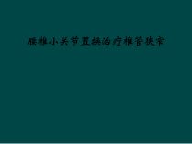 腰椎小关节置换治疗椎管狭窄课件
