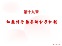 叶辉临床8版-19章-细胞信息转导的分子机制150621课件