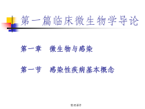 一篇临床微生物学导论课件