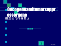 医学癌基因与抑癌基因课件
