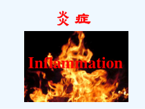 医学病理学-炎症-课件