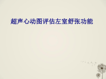 医学超声心动图评估左室舒张功能专题培训课件