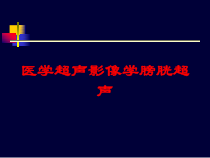 医学超声影像学膀胱超声培训课件